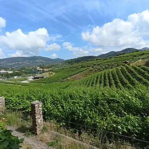  Apartment Al Vigneto